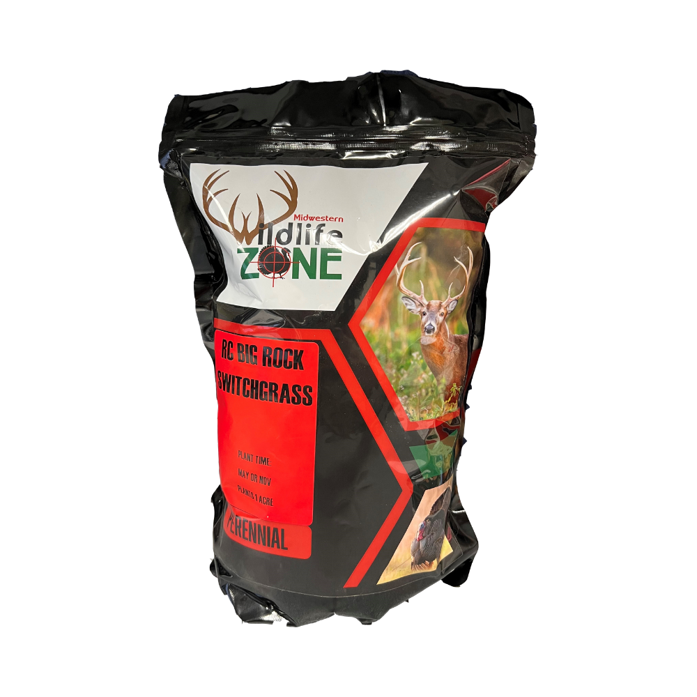 RC Big Rock Switchgrass – Garden Center Express