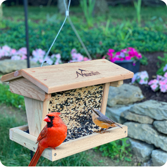 chapin garden seeder plates Chapin Garden Seeder with Seed Plates and Row Marker – Garden Center Express