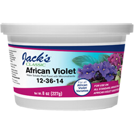Jack's Classic African Violet