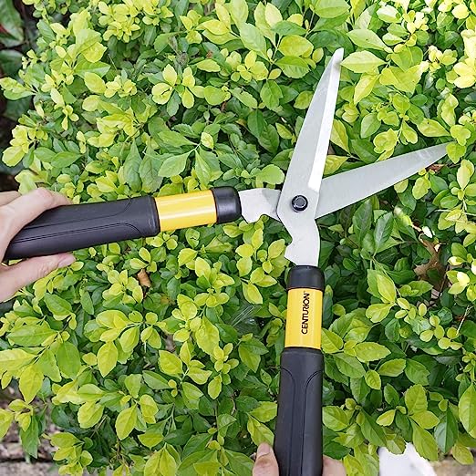 garden cutting tool set Centurion 592 Cutting Toolset w/ Mini Hedge Shear & Mini By Pass Lopper