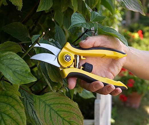 Dramm Colorpoint Bypass Pruner