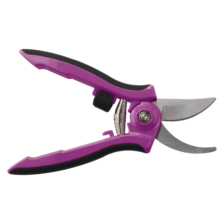 Dramm Colorpoint Bypass Pruner