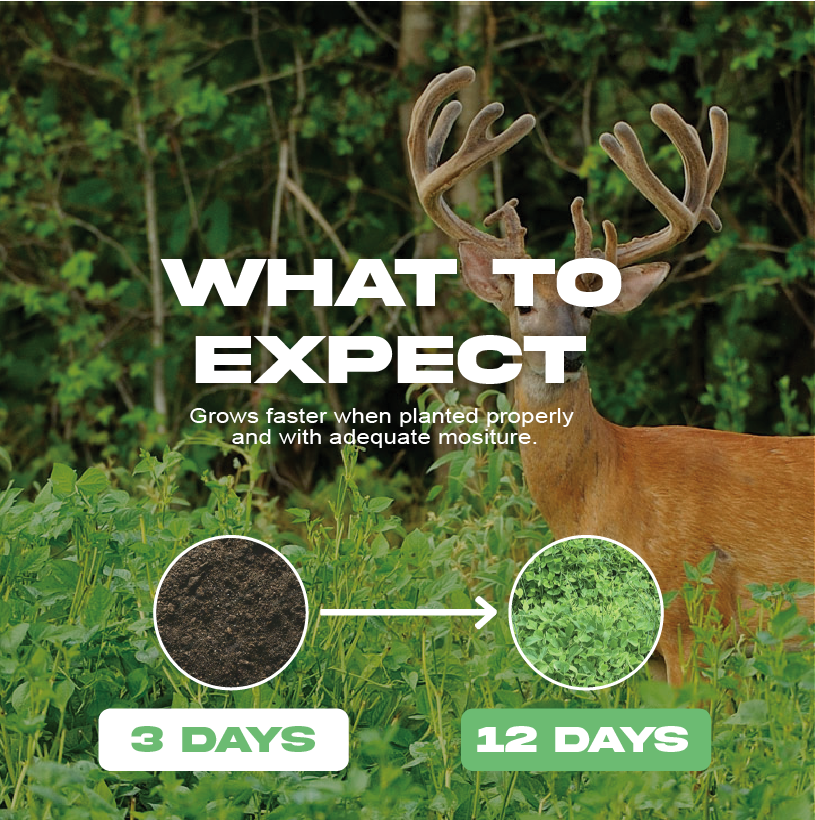 deer food plot herbicides Frozen Forage – Garden Center Express